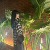 _fansjkt4803