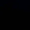 lo_vir7