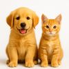 pupnwhiskkeepsakes