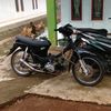 fikrilagih