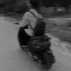 mnguyen54