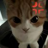 jiee921