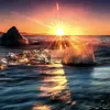 sunshine_1113
