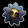 daisy_like_donut