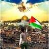 Same habeshaw 🇪🇹❤ 🇵🇸👳‍♂️