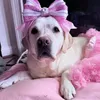 katiewhit28
