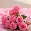 jeren7638
