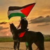 holypalestine6