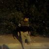hazem7398