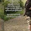 user210805527