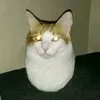 bumsinat