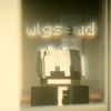 wlgsawd_