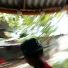janet.marcellana