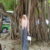 _kmil44