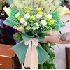 hong.hng8514