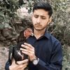 tayyabsatti631