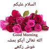 user260671395318ha