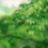 user4420559432208