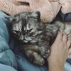 queen_aline101