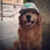 w1xpeer