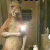 el_fan_de_gonzok163