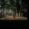 roberth_891