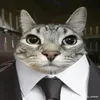 shadow_gamer985