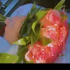 el_yas10