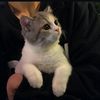 yasmenn_a7med