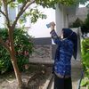 azzahra.feliza