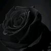 kemdlayey202