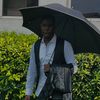cheddar_4lf