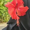 msisony
