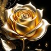 user7509911445540