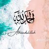 mohamedbakry480