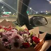 ii_rose2
