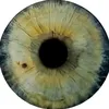 woahdude.__
