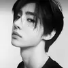 ...........the_v