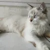 sumiyati.sumiyati88