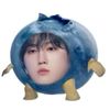 hyunjins.wife02