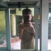 m.dila36