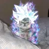 sn.edit34