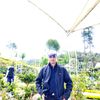 ama.willman.hia