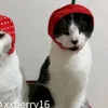 meomeo_cte123