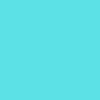 kingzwd_1