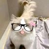 olifia_ketti_123