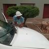 ndlamlenze713