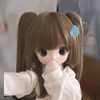 shinta8036