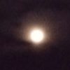 user6860170827dhghert