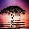 neel_akash1378